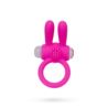 Q-toys Powerful Cock Ring pink vibe